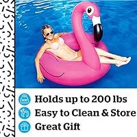 BigMouth Inc Pink Flamingo Pool Float, Inflates to Over 4ft. Wide, Funny Inflatable Vinyl Summer ... | Amazon (US)