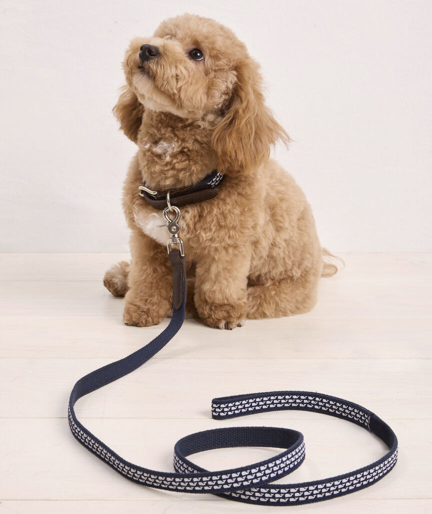 Micro Whale Leather Canvas Club Dog Leash | vineyard vines