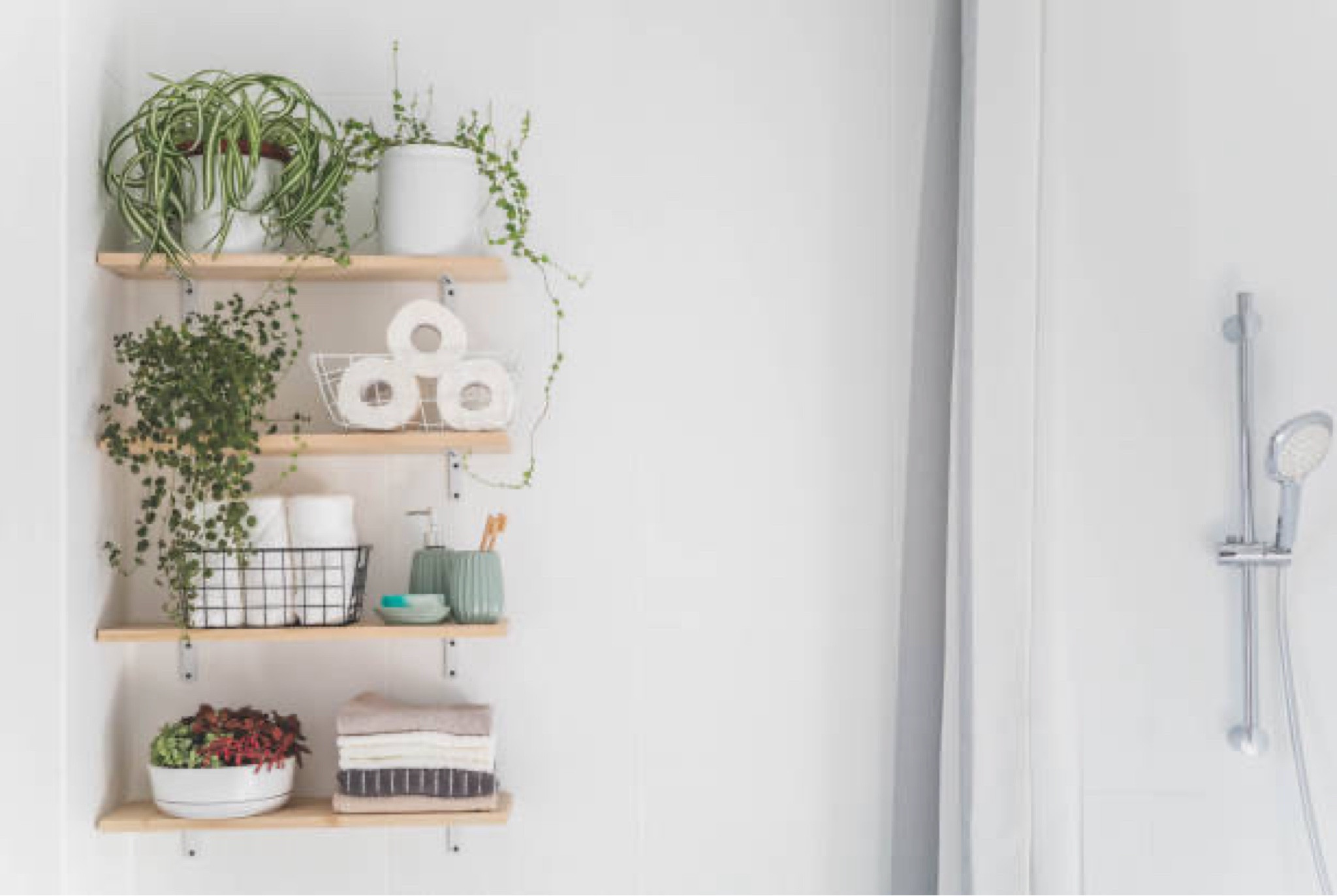 How to organize your bathroom !

#LTKstyletip #LTKGiftGuide #LTKhome