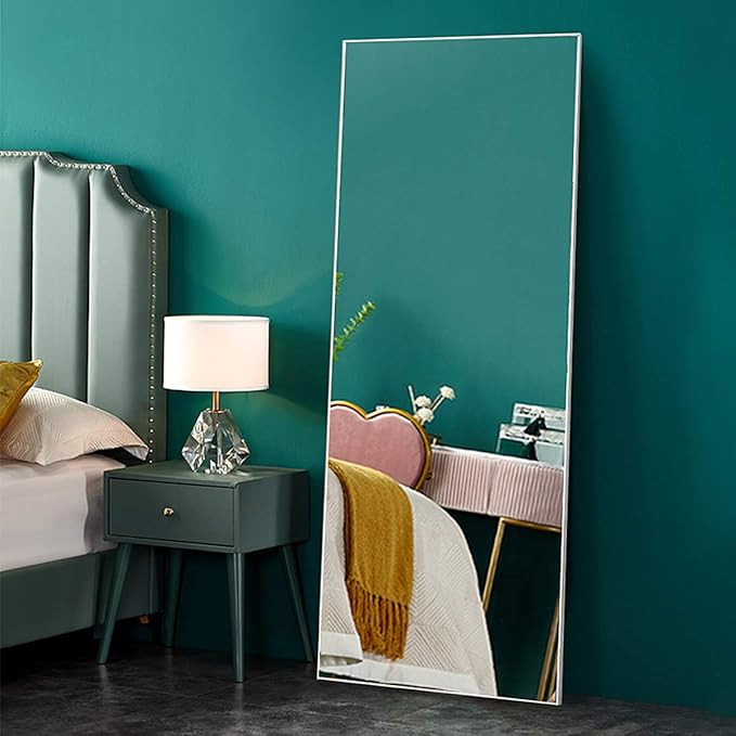 TinyTimes 64"×21" Full Length Mirror, Floor Mirror, Brushed Thin Frame, Standing Mirror, Full Bo... | Amazon (US)