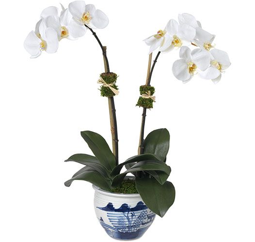 Double White Orchid, Chinoiserie Vase | Diane James Home | Diane James Home