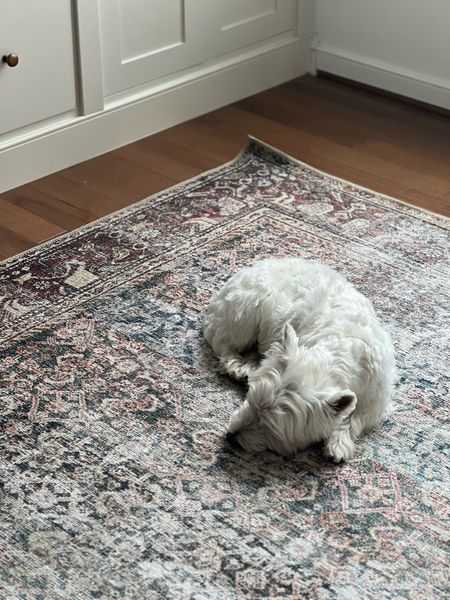 Loloi x Amber Lewis rugs 


Vintage inspired rug 
Affordable area rug

#LTKSaleAlert #LTKStyleTip #LTKHome