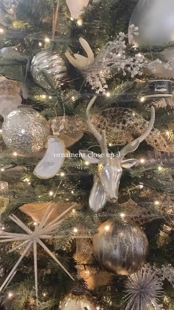 My Christmas ornament picks this year ✨ linked similar picks as well

Neutral Christmas ornaments, viral tree styling, Grand Duchess tree, Home Depot, Pottery Barn, Crate & Barrel

#LTKhome #LTKSeasonal