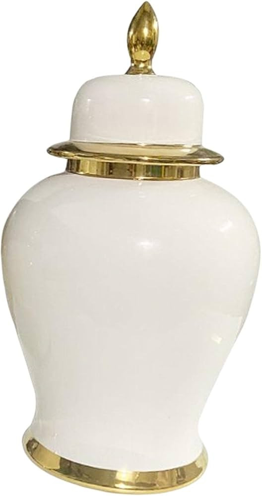 Gralara Porcelain Ginger Jar Decorative Multifunctional with Lid Gift Container Vase for Bookshel... | Amazon (US)