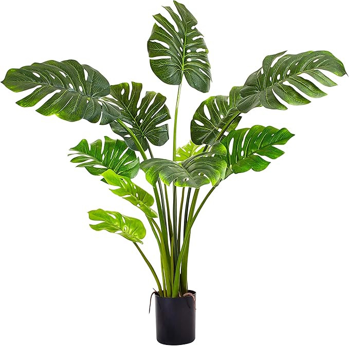 Amazon Home | Amazon (US)