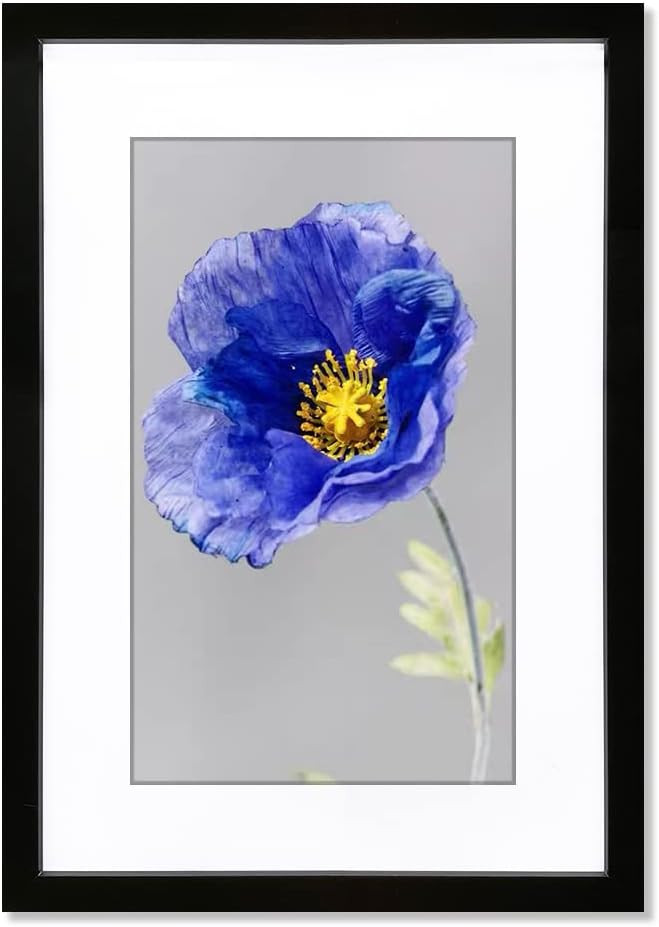 VNVNK 22x28 Frame Black, Perfect for 22x28 Inch Picture without Mat or 18x24 Inch Picture with Ma... | Amazon (US)