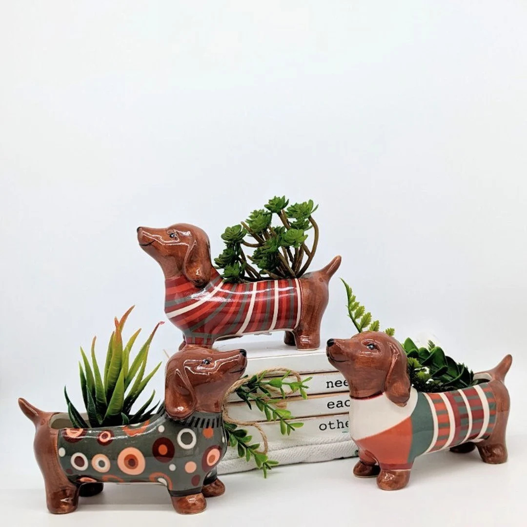 Colourful Weiner Sausage Dog Planter Pot Weiner Dog Gifts Dachshund Gifts Succulent Planter Gift ... | Etsy (US)