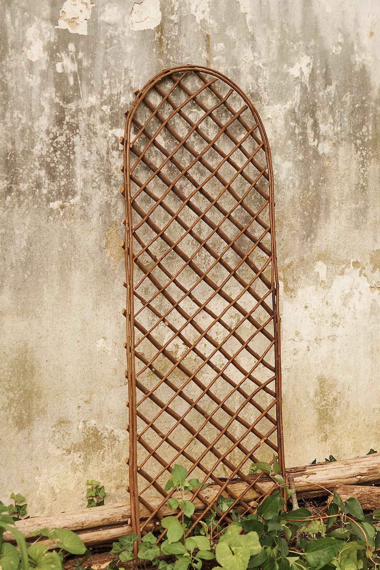 Rounded Top Willlow Trellis, Large | Terrain