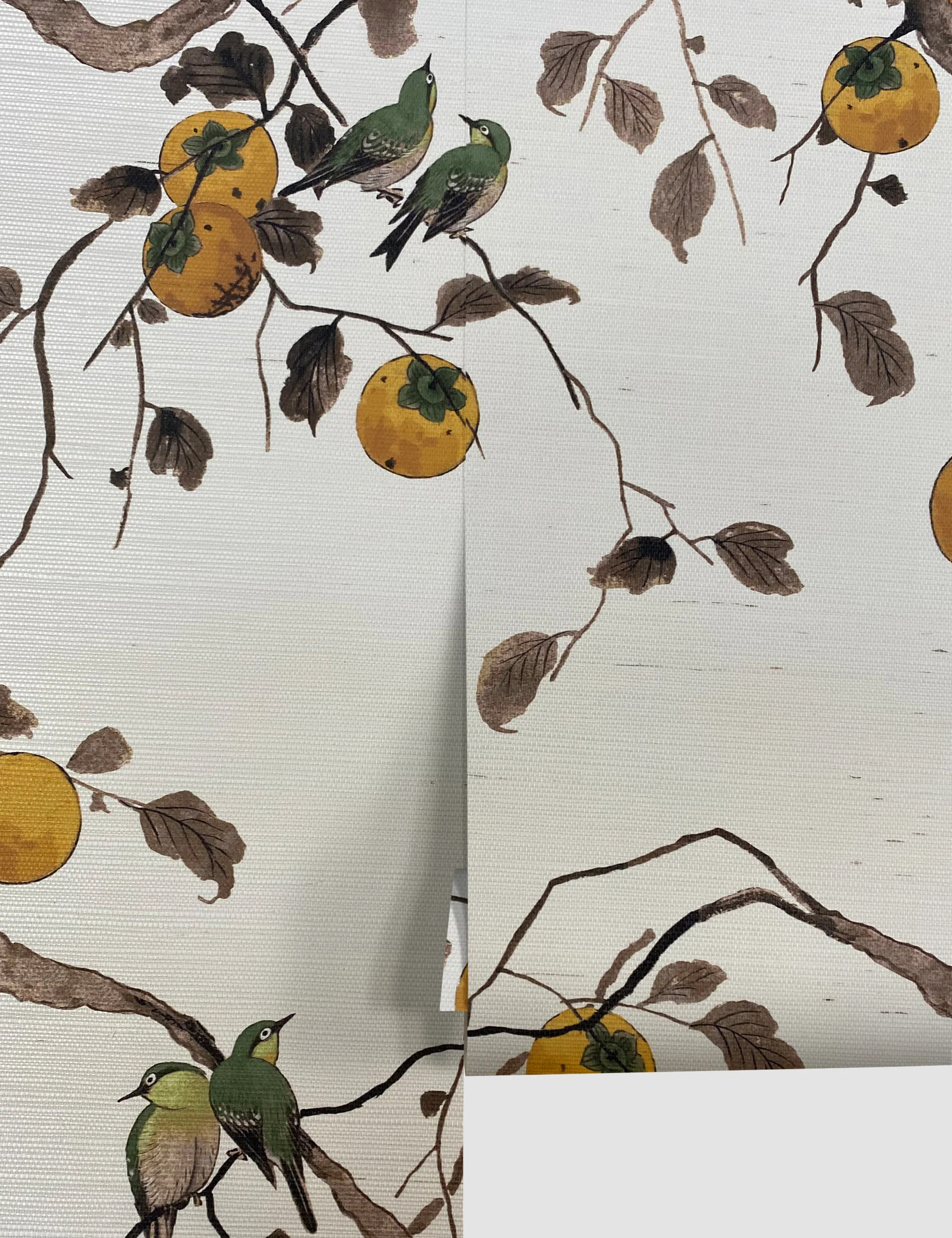 Persimmon Birds Wallpaper by Nathan Turner | Lulu and Georgia 