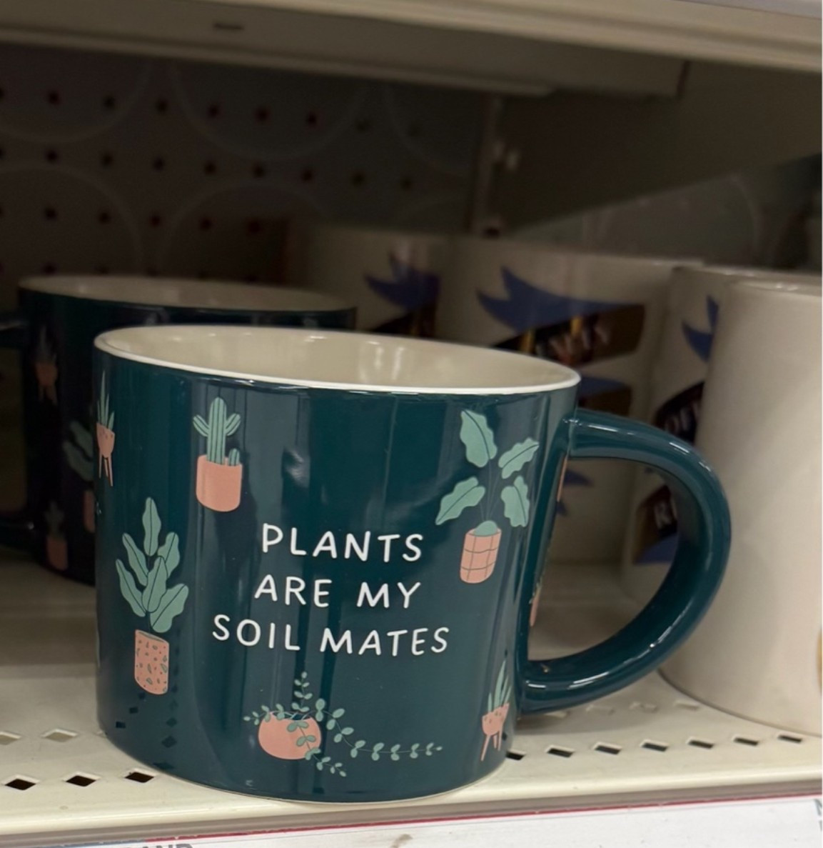 Under $10 graphic mug find. Perfect for any plant mom!