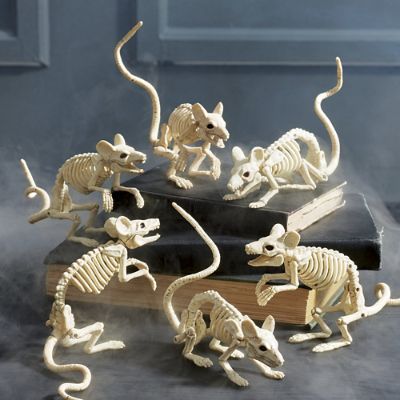 Skeleton Mice, Set of Six | Grandin Road | Grandin Road