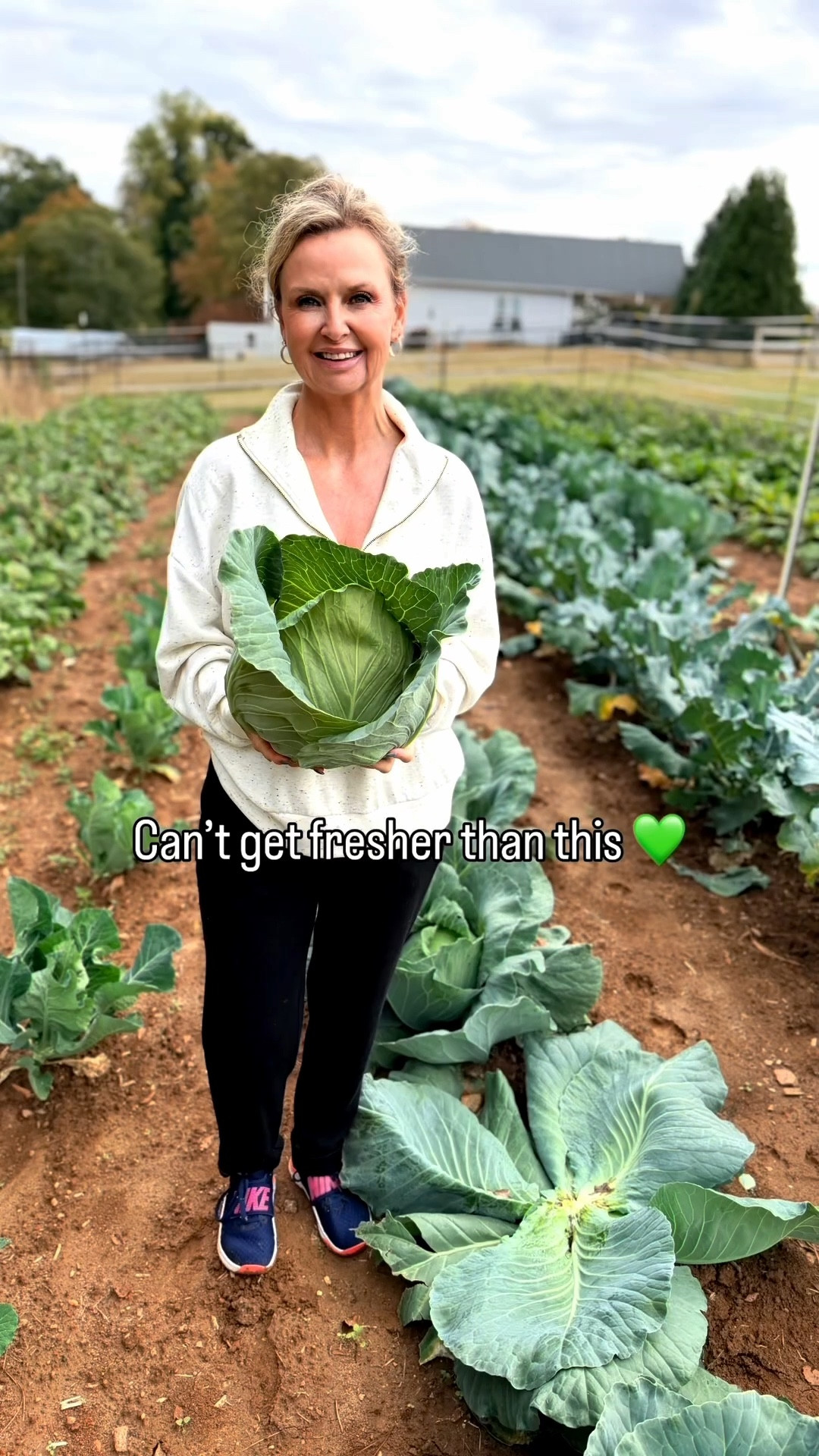The South dipped below freezing last night, so we spent the afternoon gathering the last of the garden — 25 heads of cabbage, buckets of purple hull peas, a few beets, and the final summer tomatoes. 🥬🍅🌾
Only the collards were left behind… every Southerner knows they’re even better after a touch of frost. ❄️

I haven’t shared much lately while I’ve been recovering and resting from surgery, but it felt good to be back out here — sunshine, dirt on my hands, and Tony & Lexie right beside me working away. ❤️

New holiday recipes are coming soon, all inspired by this final fall harvest.
#southernrootsmodernplates #livingthedash #bessieandco #southerngarden #harvestseason #georgiagrown


#LTKFamily #LTKdayinmylife #LTKstorytime