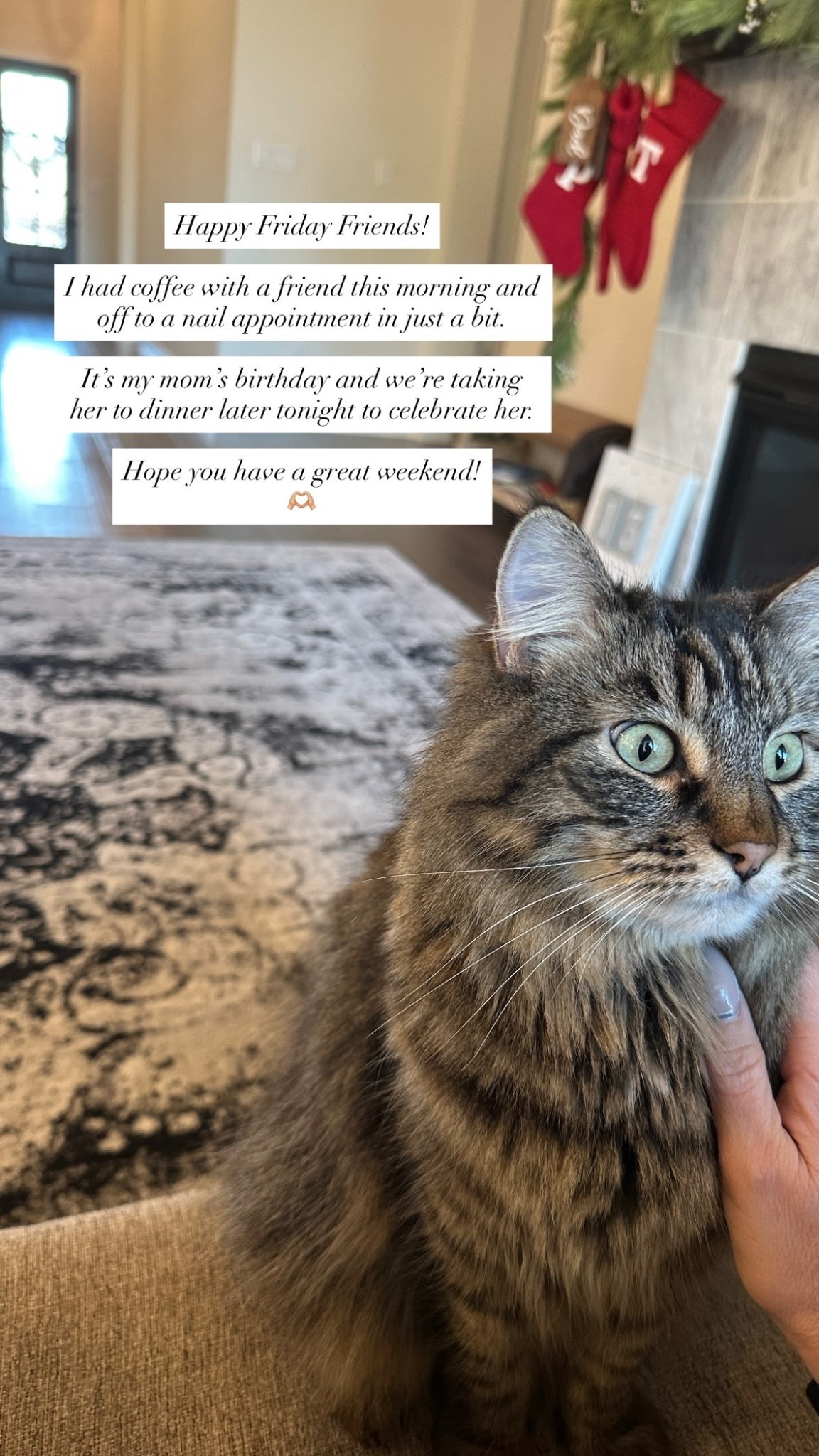 Happy Friday ✨

Take a deep breath — you made it. Let’s end the week celebrating something that went right. Tell me your little win in the comments (even if it’s just keeping your houseplants alive).

#FridayFeels #FaithAndJoy #Over40Community #ChristianEncouragement #LittleWins #JoyfulLiving #ChristianInfluencer #WeekendMindset

#LTKgrwm #LTKdayinmylife #LTKmomlife