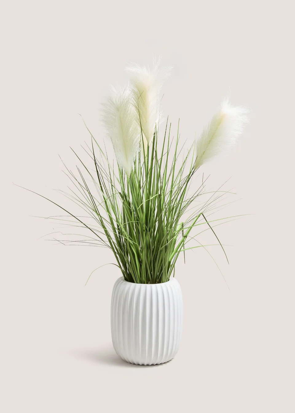 Pampas In Ribbed Pot | Matalan (UK)