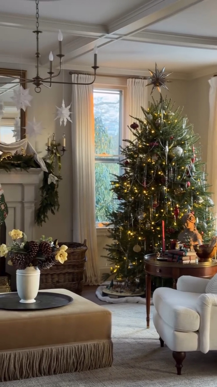 Came for a tree, left with Christmas Magic 🎄