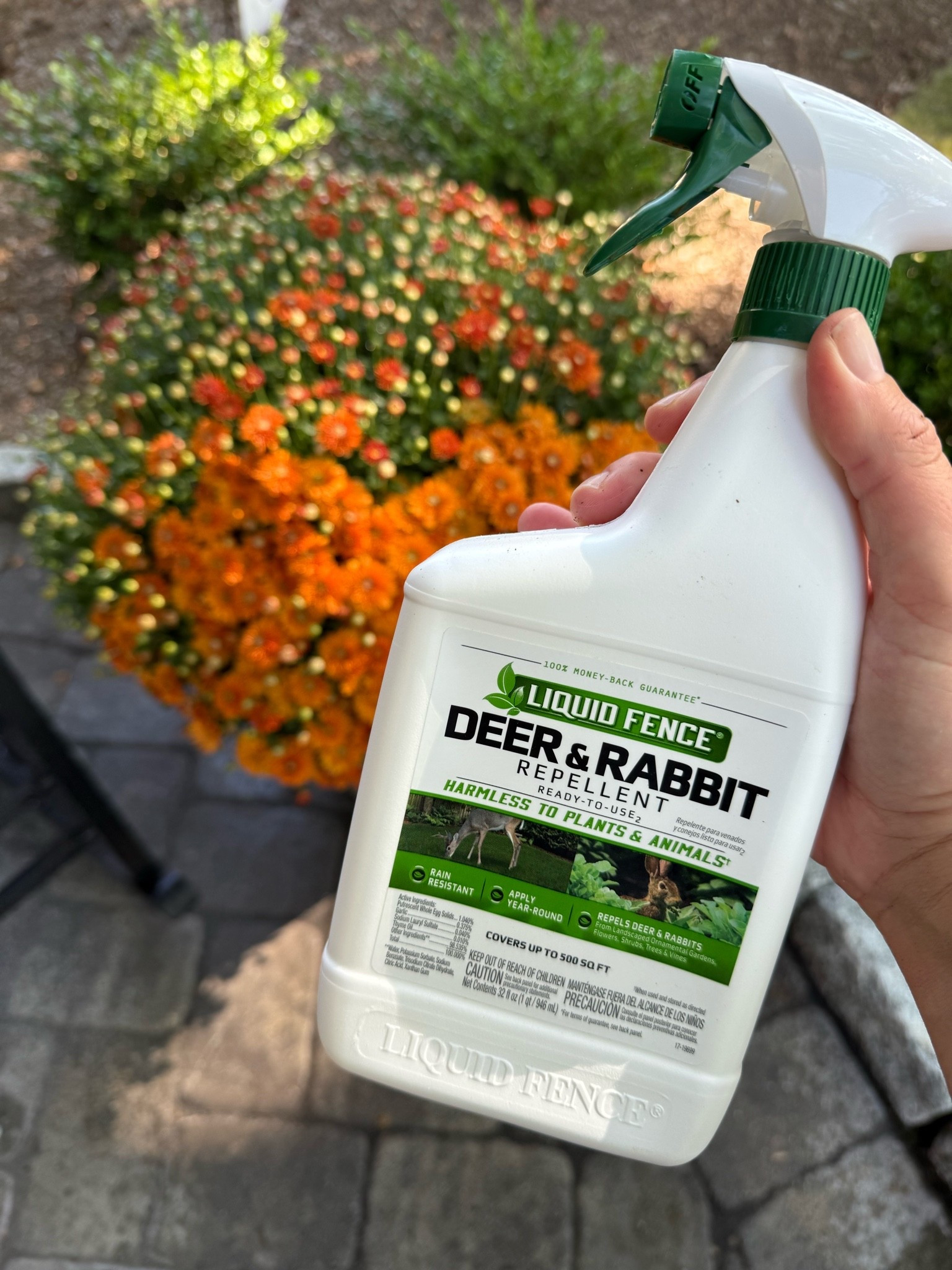 this seriously works! between this spray + the perfect flower mix, we’ve finally beat the deer! we use 1x a week + after a rainstorm. 👯‍♀️🌷❌🦌

warning: it smells disgusting but goes away quickly! 🤢

#LTKHome #LTKSeasonal