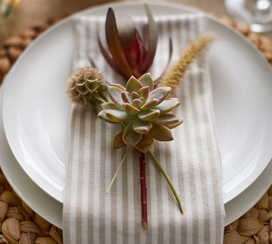 Wheaton Striped Linen/Cotton Napkins | Pottery Barn (US)