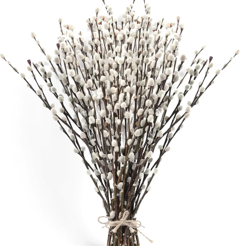 NOGIS Natural Preserved Dried Pussywillow Branches for Vases, 20 Stems Real Willows, 15.7" Snow P... | Walmart (US)