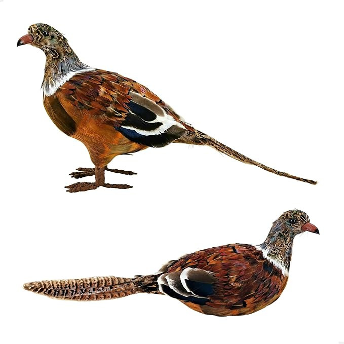 naturevibe Feathered Pheasant Decor Set of 2 for Autumn Fall Thanksgiving | Amazon (US)