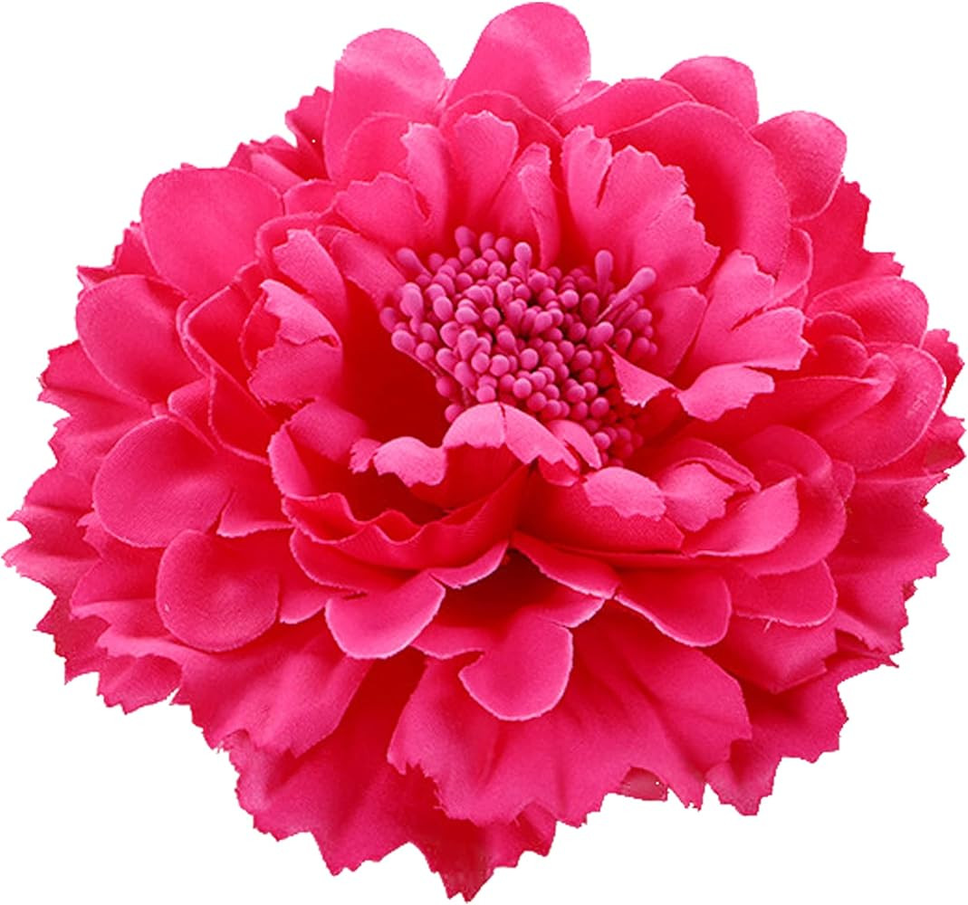 Hair Flower Clips Brooch Boutique Hair Accessories Bohemia Hairpins for Women Girls | Amazon (US)