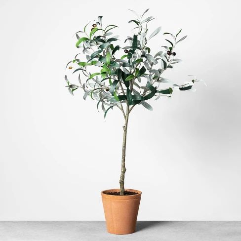 Faux Olive Branch Plant - Hearth & Hand™ with Magnolia | Target