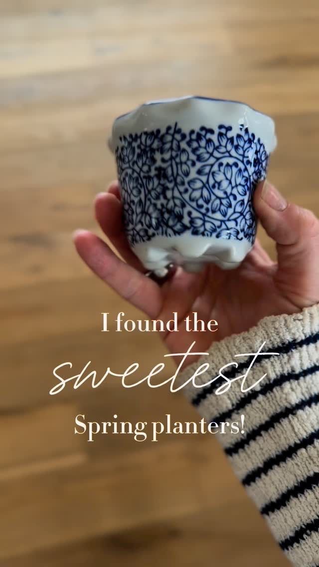 These little blue and white planters are the cutest touch for spring! Classic, timeless, and just the right size for a shelf, coffee table, or kitchen window. I love how they add a little charm without spending a fortune—such a good find!


#budgetfriendlydecor #lookforlesshome #affordablehomestyle #classicdecor #homedecoronabudget

#LTKSeasonal #LTKHome