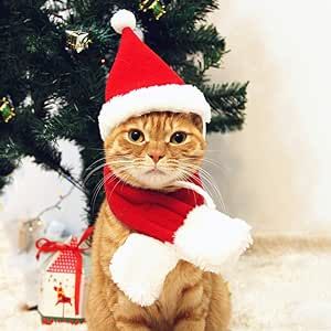 PETLESO Cat Santa Hat with Scarf, Christmas Hats for Cats Pet Santa Hat Christmas Costume for Cat... | Amazon (US)