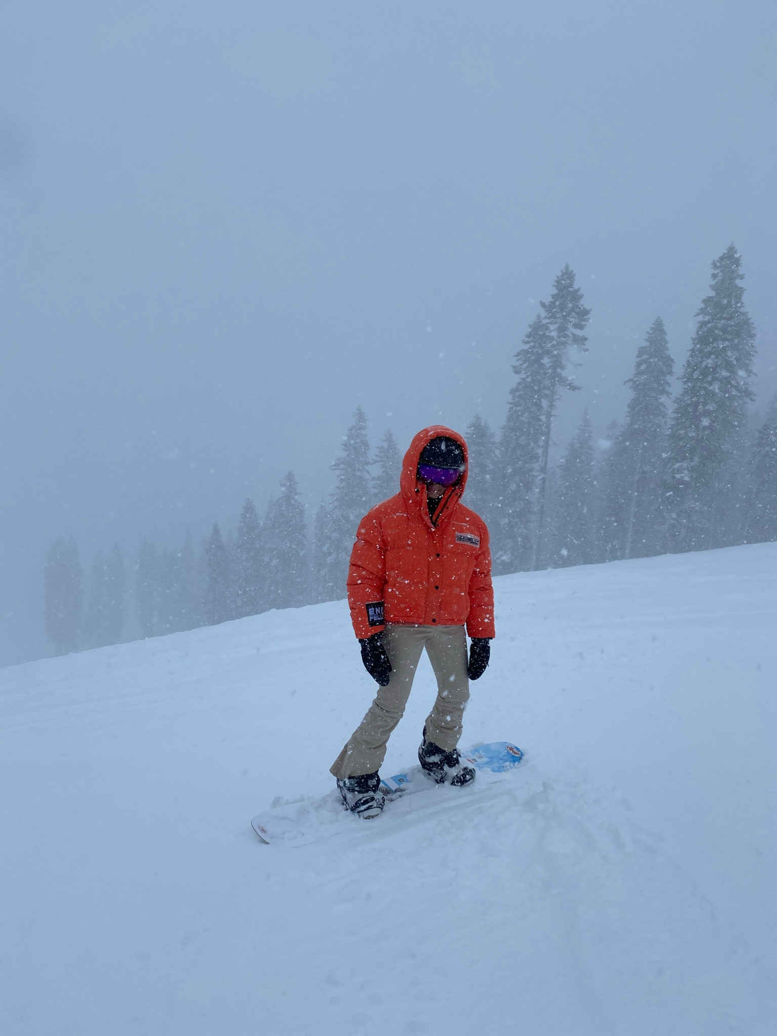 Ski or board?

#LTKFind #LTKSeasonal #LTKfit