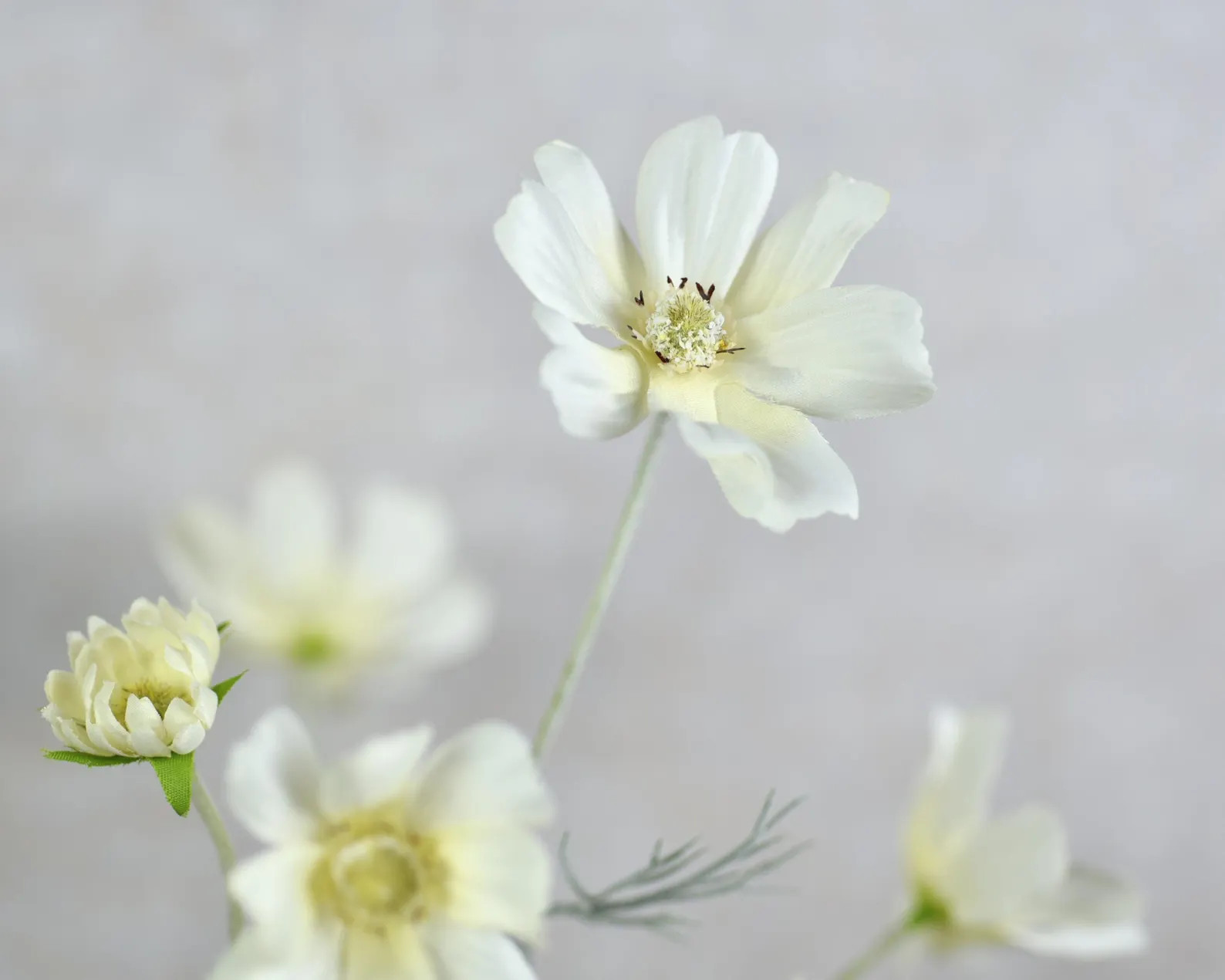 Faux Silk Cream White Cosmos Stem High Quality Artificial Flower / Wedding / Bouquet / Arrangemen... | Etsy (US)