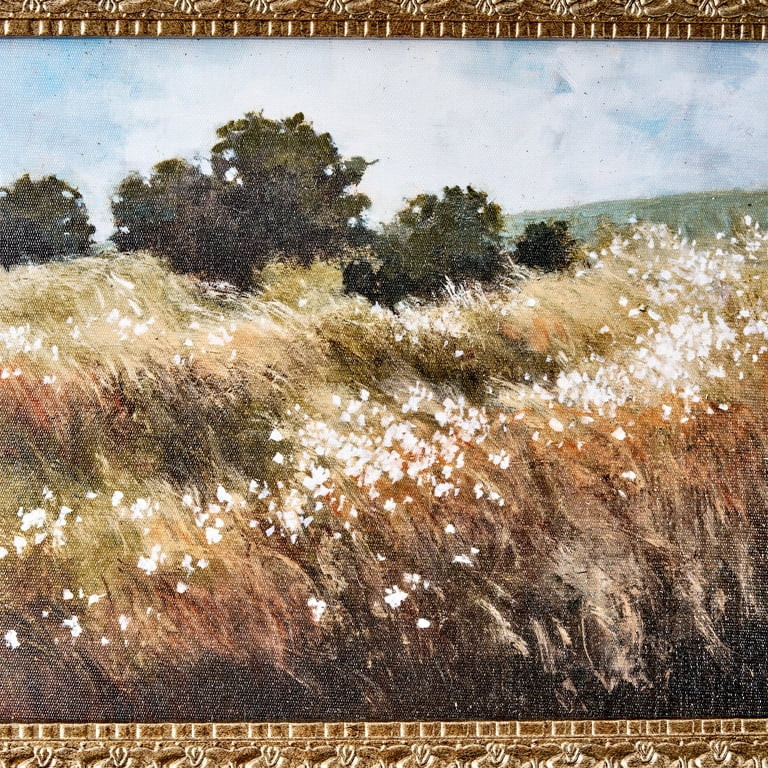 Home Decor Collection Calm Meadow Landscape Wall Art, Nature Canvas Print with Wood Bronze Frame,... | Walmart (US)