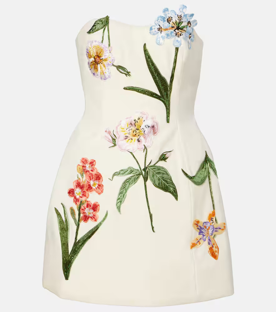 Leo Lin Rosario embroidered velvet minidress | Mytheresa (US/CA)