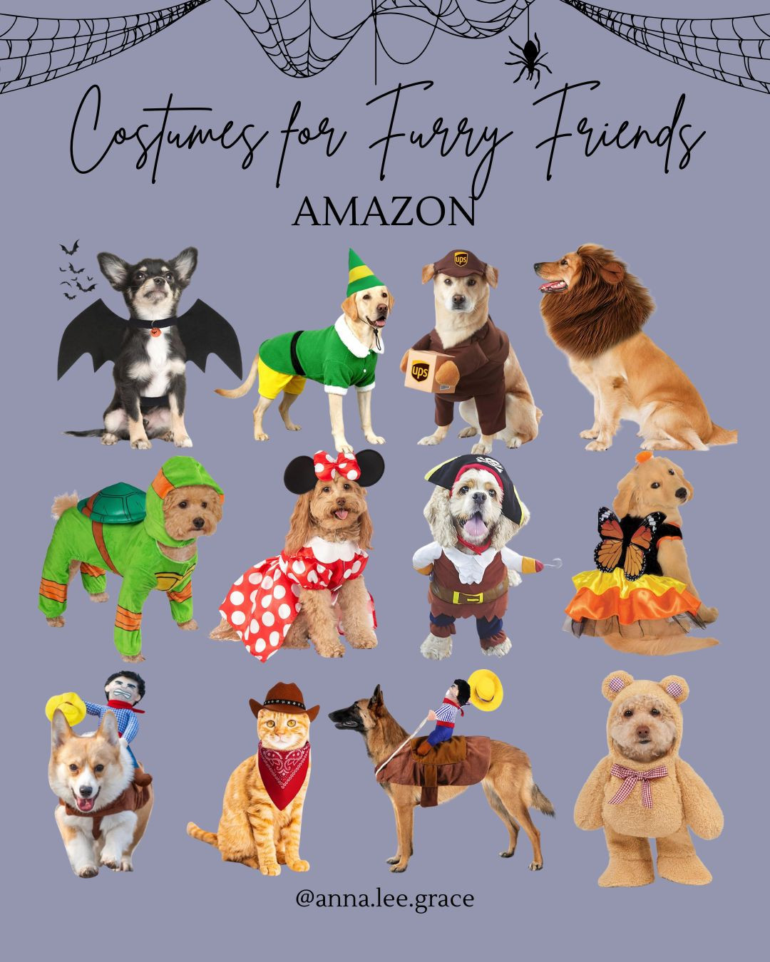 Costumes for your furry friends! 

Pet costumes, pet finds, pet outfits, pet halloween costumes 

 #LTKFindsUnder50 #LTKFindsUnder100