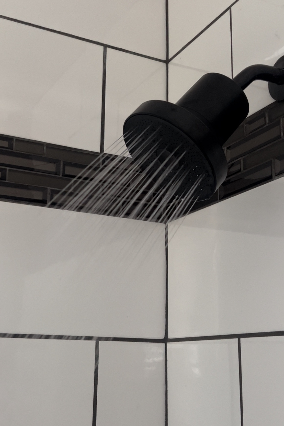 Simple ways to upgrade your Haircare and skincare routine - changing your shower head to a FILTERED one! Super cute and sleek as well, takes 5 min to install. 

#LTKHoliday #LTKGiftGuide #LTKbeauty