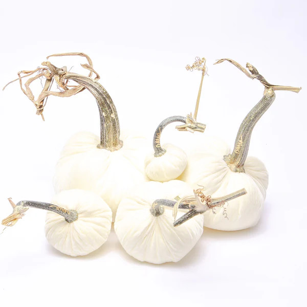 Decor Gold - 002 | Hot Skwash