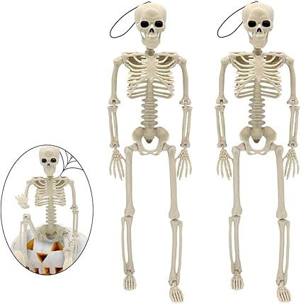 Halloween Skeletons, Halloween Decorations Skull 16" Full Body Realistic Faux Human Skeleton Hall... | Amazon (US)