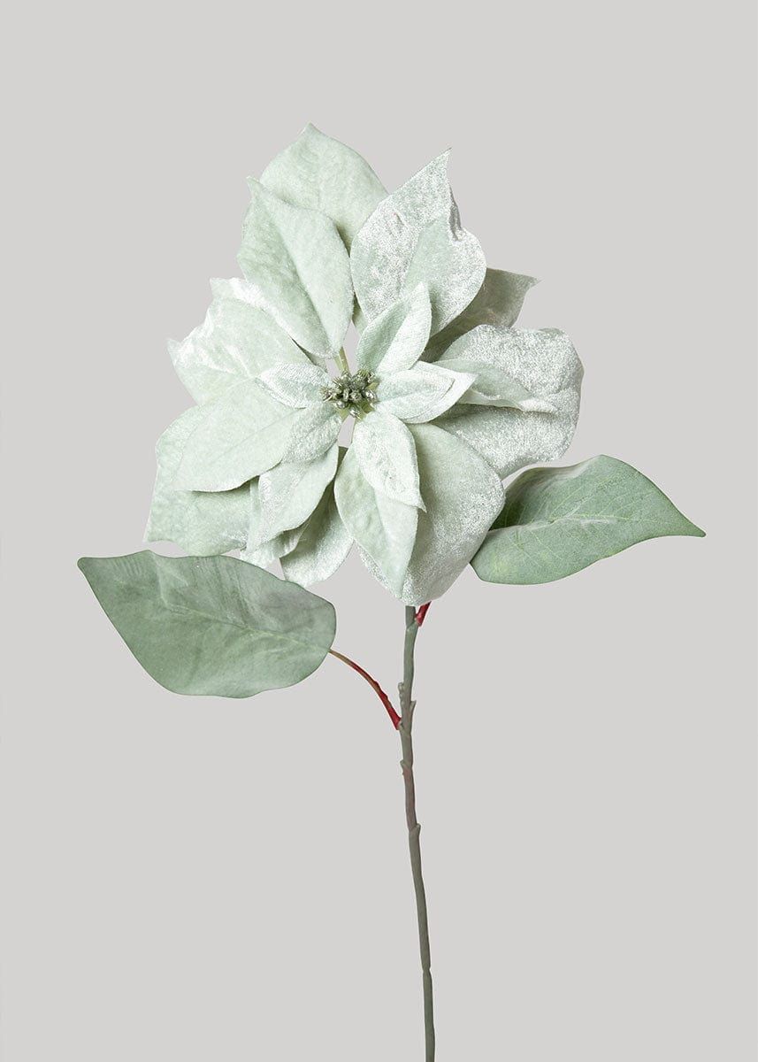 Soft Green Velvet Christmas Poinsettia - 28" | Afloral