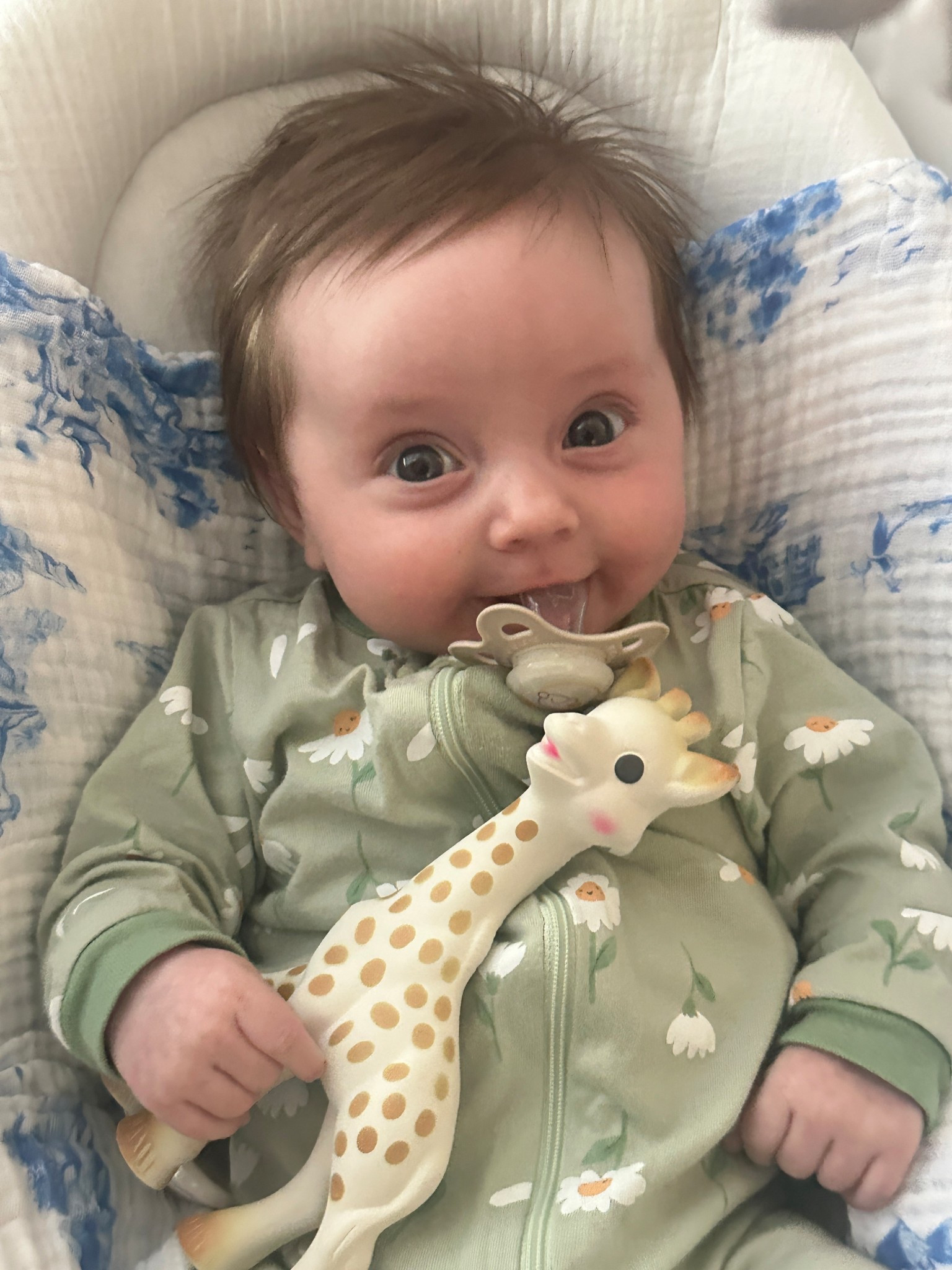 Charlotte’s favorite toy!!

#LTKFamily #LTKFindsUnder50 #LTKBaby