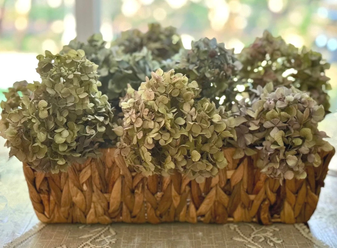 Dried Hydrangeas Flowers - Etsy | Etsy (US)