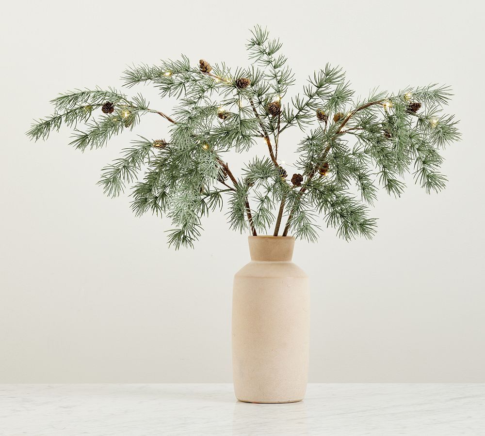 Lit Faux Frosted Pine Branch | Pottery Barn (US)