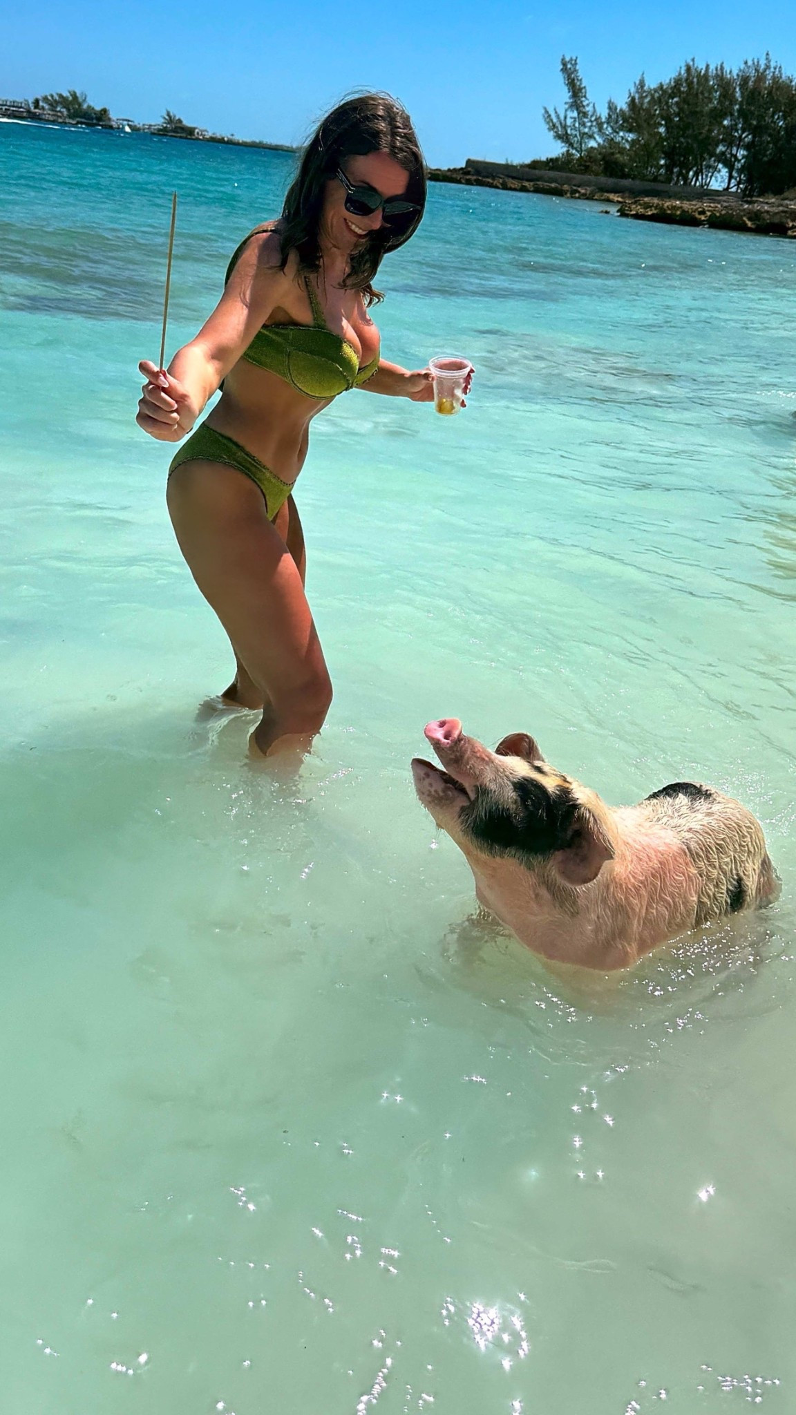 That’ll do pig, That’ll do 🐖

#LTKSwim #LTKTravel #LTKOver40