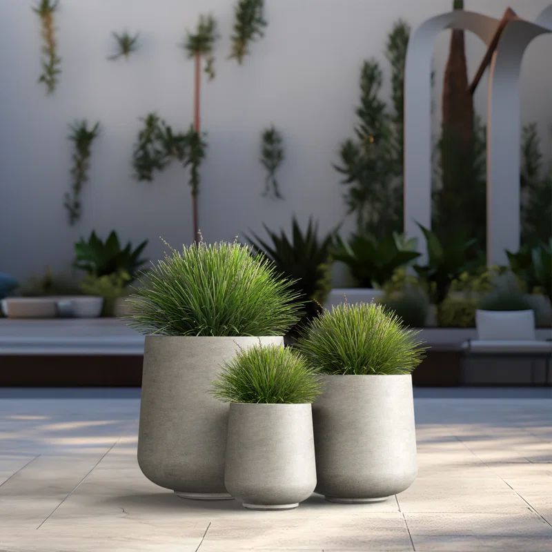 Brennus 3-Piece Cement Pot Planter Set | Wayfair North America