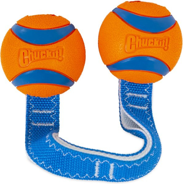 Chuckit! Ultra Duo Tug Tough Dog Toy | Chewy.com