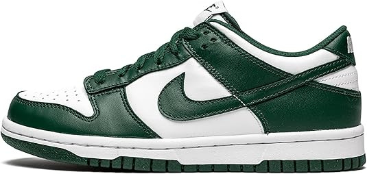 Nike Big Kid's Dunk Low SE Sequoia/Orange-Medium Olive (DC9561 300) | Amazon (US)