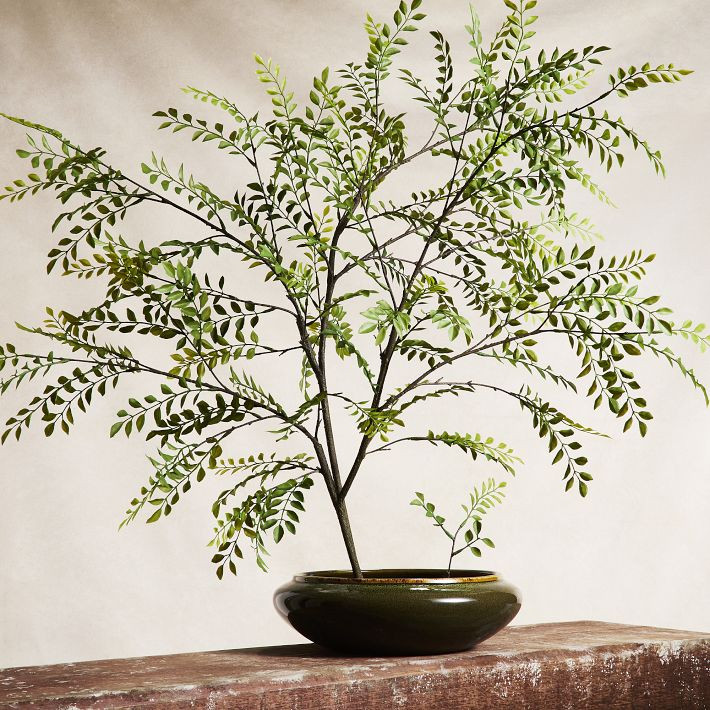Faux Fern Branch | West Elm (US)