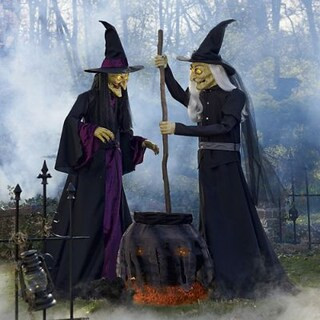 Deluxe Animated Brewing Witch Duo | Grandin Road | Grandin Road