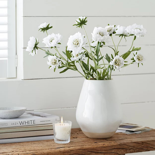 Scabiosa Stems - Set of 3 | Home Accessories | The  White Company | The White Company (UK)