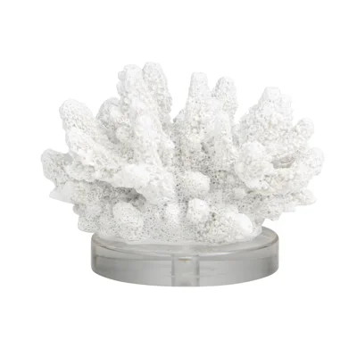 Bernardus Polystone Small Textured Coral Decorative White Sculpture with Clear Acrylic Base | Wayfair North America