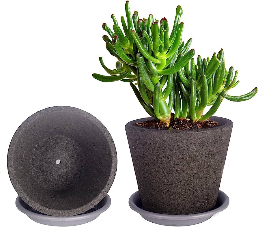 TOPPARK Clay Pots for Plants 6 Inch,Set of 2 Terracotta Pots,Plant pots,Breathable Planters with ... | Amazon (US)