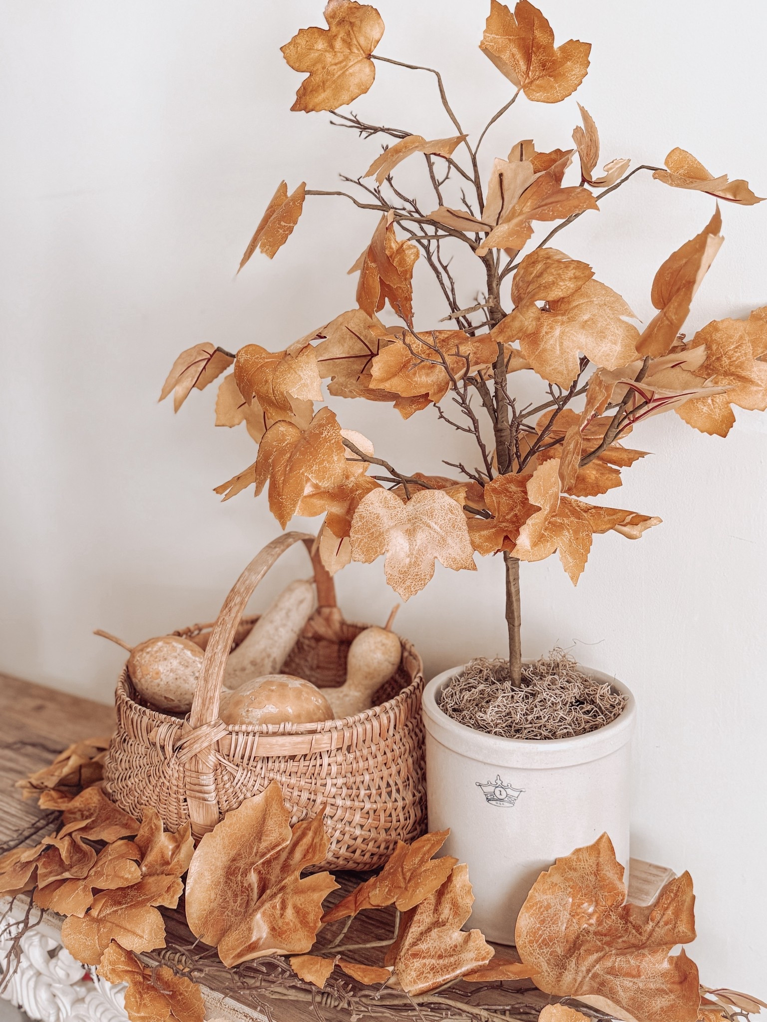 Maple leaf 🍁 

#LTKSeasonal