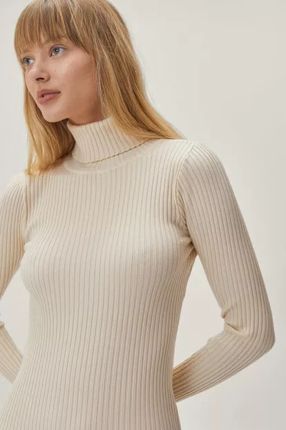 Rib Knit Midi Polo Neck Sweater Dress | Nasty Gal (US)